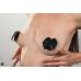 Пэстисы Burlesque Blaze Black